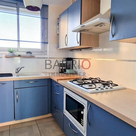 Apartament T2 Avec Vue Mer, Loggia, Parking Commun A - Fr-1-309-519 *