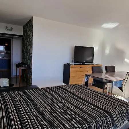T2 Avec Vue Mer, Loggia, Parking Commun A - Fr-1-309-519 Apartament